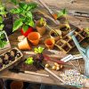 13PCS Mini Garden Planting Tool Set  |   Garden Tools Garden Tools Garden Tools