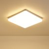 18W 6500-7000K LEDs Ceiling Light Flush Mounting Square Ceiling Lamp for Kitchen Bedroom Hallway  |   Indoor Lighting Indoor Lighting Indoor Lighting