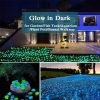 300Pcs Glowing Rocks Outdoor Glow Decorative Stones Garden Yard Lawn Luminous Pebbles  |   Outdoor Lighting Lights & Lighting Outdoor Lighting