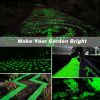 300Pcs Glowing Rocks Outdoor Glow Decorative Stones Garden Yard Lawn Luminous Pebbles  |   Outdoor Lighting Lights & Lighting Outdoor Lighting