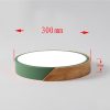 AC220-240V 24W  LED Round Circular Lamp Ceiling Light for Aisle Stair Hallway Balcony Living Room Bedroom(White Light+Warm White Light+Neutral Light+Remote Control)  |   Indoor Lighting Indoor Lighting Green/ Orange/ Pink/ Grey/ Blue/ White/ Black