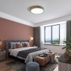 AC220-240V 24W  LED Round Circular Lamp Ceiling Light for Aisle Stair Hallway Balcony Living Room Bedroom(White Light+Warm White Light+Neutral Light+Remote Control)  |   Indoor Lighting Indoor Lighting Green/ Orange/ Pink/ Grey/ Blue/ White/ Black