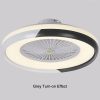 Ceiling Fan with Lighting LED Light Stepless Dimming Adjustable Wind Speed Remote Control Without Battery Modern LED Ceiling Light for Bedroom Living Room Dining Room  |   Indoor Lighting Indoor Lighting Indoor Lighting