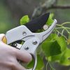 Deal cheapest Secateurs Steel Blade Pruning Shears with Ergonomic Handles Gardening Pruning Scissors Bonsai Cutters Gardening Tool Kit for Plants Rose Flowers Fruit Trees  |   Garden Tools Garden Tools Garden Tools