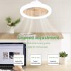 Intelligent Remote Control LED Fan Light E27 Screw Dimmable Bedroom Aromatherapy Lighting Fan Light  |   Indoor Lighting Indoor Lighting Indoor Lighting