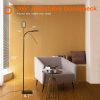 LED Floor Lamp Modern Standing Lights Reading Light(Without Remote)  |   Indoor Lighting Indoor Lighting Black