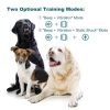 Rechargeable Dog Training Device Bark Collar for Dogs IP67 Waterproof Color Screen Training Collar for Small Medium Large Dogs  |   Dog & Cat Supplies Dog & Cat Supplies Black/ White