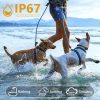 Rechargeable Dog Training Device Bark Collar for Dogs IP67 Waterproof Color Screen Training Collar for Small Medium Large Dogs  |   Dog & Cat Supplies Dog & Cat Supplies Black/ White