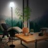 RGBW LED Floor Lamp Outdoor Solar Lamp Colorful Desk Light with Remote Controller Pull Chain Switch  |   Indoor Lighting Indoor Lighting Black With White