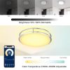 Smart Ceiling Light 12-inch 15W Flush Mount Wi-Fi Ceiling Lamp  |   Indoor Lighting Indoor Lighting Brushed Nickel