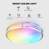 Smart Ceiling Light 12-inch 15W Flush Mount Wi-Fi Ceiling Lamp  |   Indoor Lighting Indoor Lighting Brushed Nickel