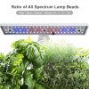 Smart Hydroponics Growing System Indoor Herb Garden Kit 9 Pods Automatic Timing with Height Adjustable 15W LED Grow Lights 2L Water Tank Smart Water Pump for Home Office Kitchen  |   Garden Tools Garden Tools Garden Tools