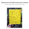 Sticky Traps for Flying Plant Insect Fungus Gnats 20pcs 20*10cm  |   Garden Tools Garden Tools Garden Tools