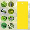 Sticky Traps for Flying Plant Insect Fungus Gnats 20pcs 20*10cm  |   Garden Tools Garden Tools Garden Tools