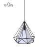 Tomshine 110-240V 0-60W Industrial Vintage Cage Pendant Light  |   Indoor Lighting Indoor Lighting Black