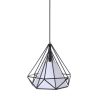 Tomshine 110-240V 0-60W Industrial Vintage Cage Pendant Light  |   Indoor Lighting Indoor Lighting Black