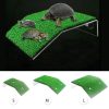 Turtle Ramp Turtle Basking Platform  |   Fish & Aquariums Fish & Aquariums Fish & Aquariums