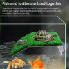 Turtle Ramp Turtle Basking Platform  |   Fish & Aquariums Fish & Aquariums Fish & Aquariums